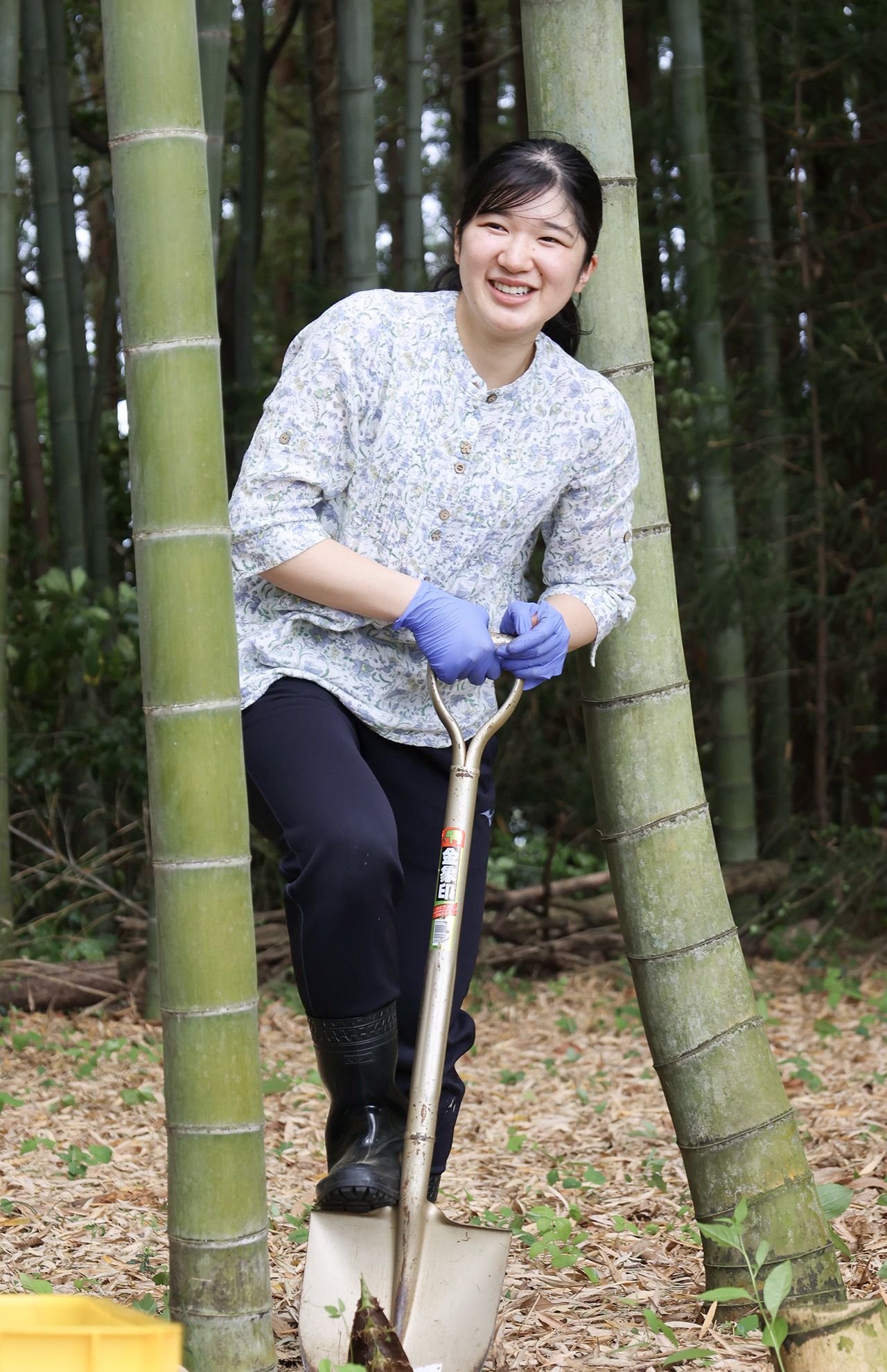 '24年5月（22歳）御料牧場でのタケノコ掘り。カジュアルにお召しになった小花柄のプリントブラウスのボタンは一部、花の形のものも。「ご自分流のおしゃれを楽しまれているようにお見受けします」（写真／宮内庁）