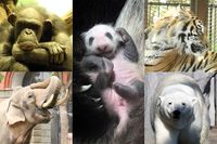 子どもの情操教育に危機!? 転換期に立つ日本の“動物園”が背負う新たな使命