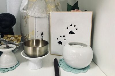 細かいルールやしきたりのない「ペットの葬儀」と「SNS」※写真はイメージです