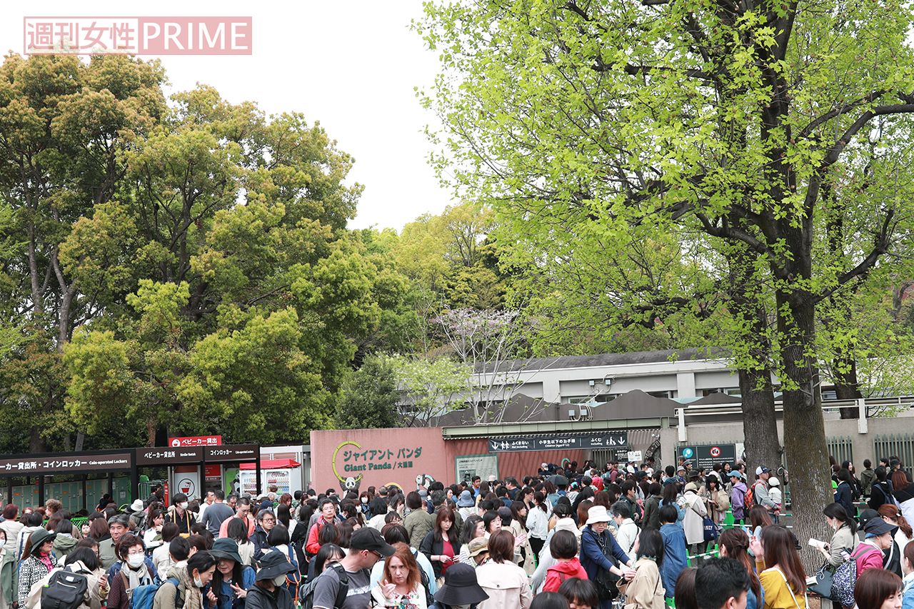 いまだにジャイアントパンダ観覧には長蛇の列が。中には全身パンダグッズに身を包んで“パンダ愛”を表現する人も