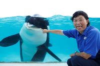 イルカの人工授精を成功させた海獣ドクターが語る、命との向き合い方