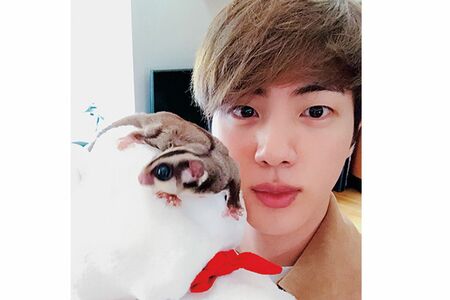 フクロモモンガも（公式SNSより）