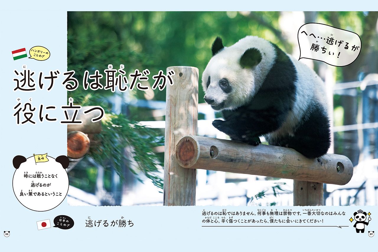 『グローバルな視点を身につけよう　パンダといっしょに学ぶ世界のことわざ』より　撮影／高氏貴博