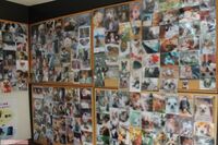 《ペット葬儀》「生焼け火葬」に「上乗せ請求」、悪徳業者を選ばない方法