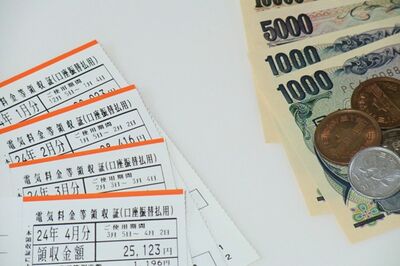 電気料金が1年で倍に！驚愕の値上げに各地から悲鳴が続々、女性1000人に聞いた「私の節電方法」“自己防衛…