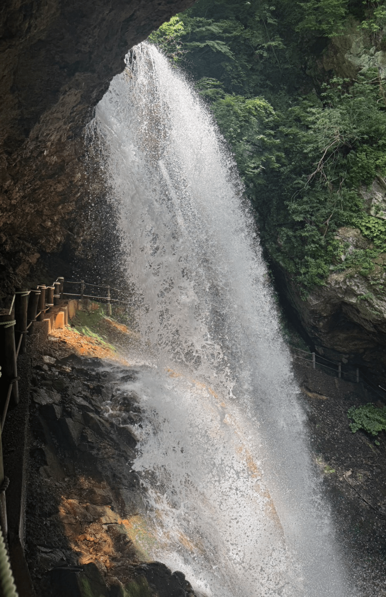 ホテルの窓からの眺めがきれいで、自然の中で癒されました