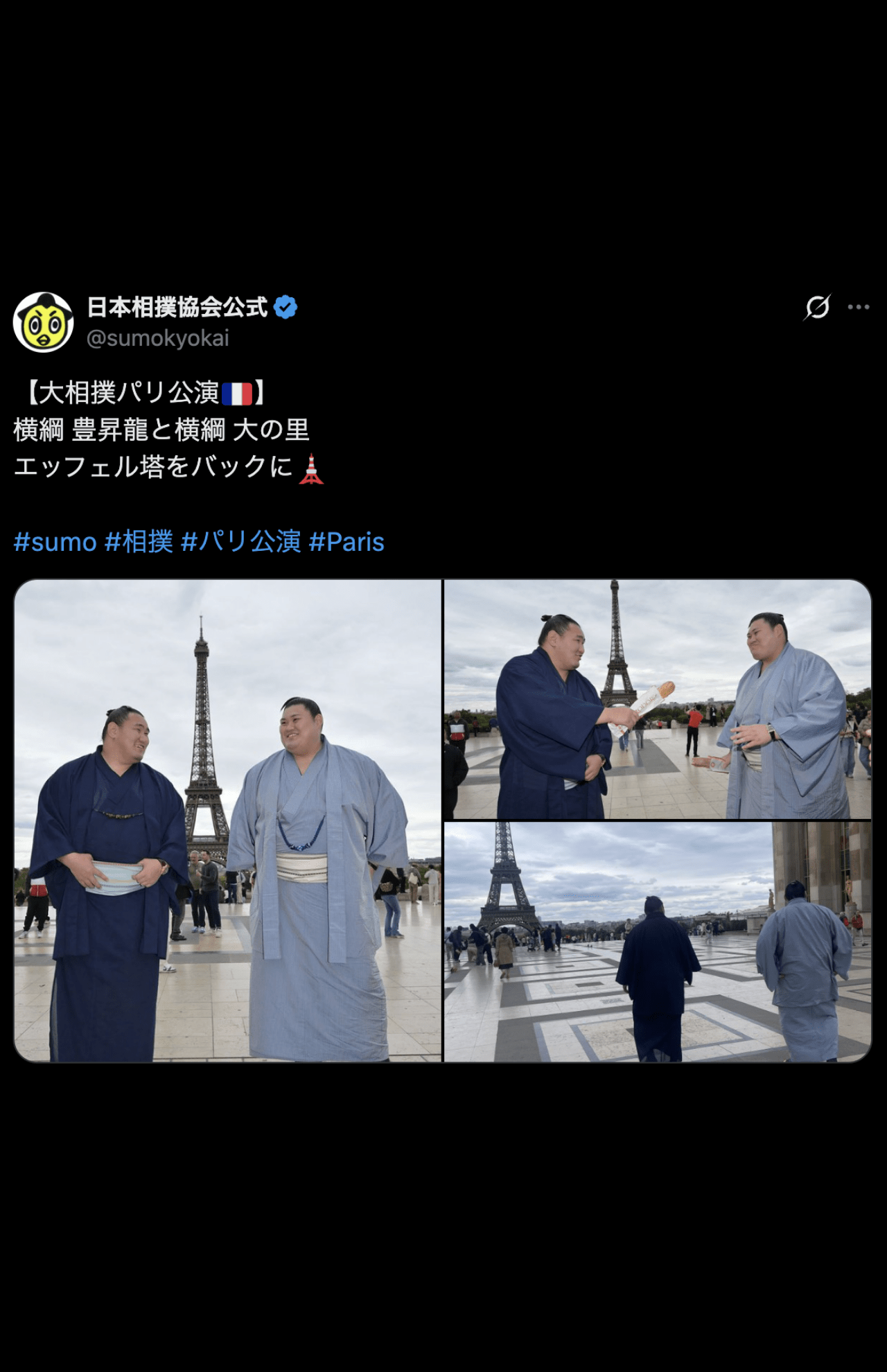 両横綱がエッフェル塔を背景に笑顔（公式Xより）