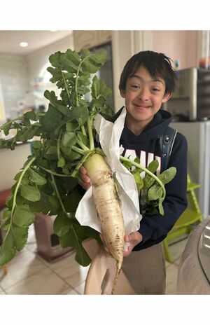 《小学校でお野菜を育てているケンジくん。定期的にいろんなお野菜を持って帰ってきてくれるのですが、今回は大物》（美保さんのブログより）