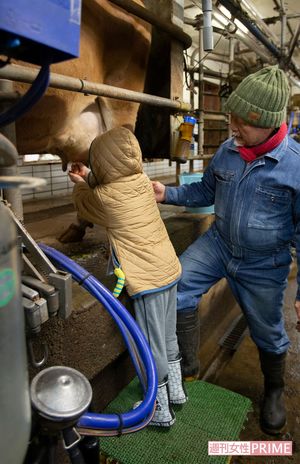 搾乳室（ミルキングパーラー）で乳しぼりを体験。磯沼さんが手助けをしながら、小さな子どももひとりで挑戦（撮影／齋藤周造）