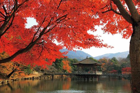 奈良公園・鷺池に浮かぶ檜皮葺きの東屋「浮見堂」
