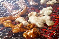 疲労回復におすすめな焼肉はホルモン！知らなきゃ損するその部位と食べ方とは