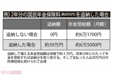 例）2年分の国民年金保険料（約39万円）を追納した場合