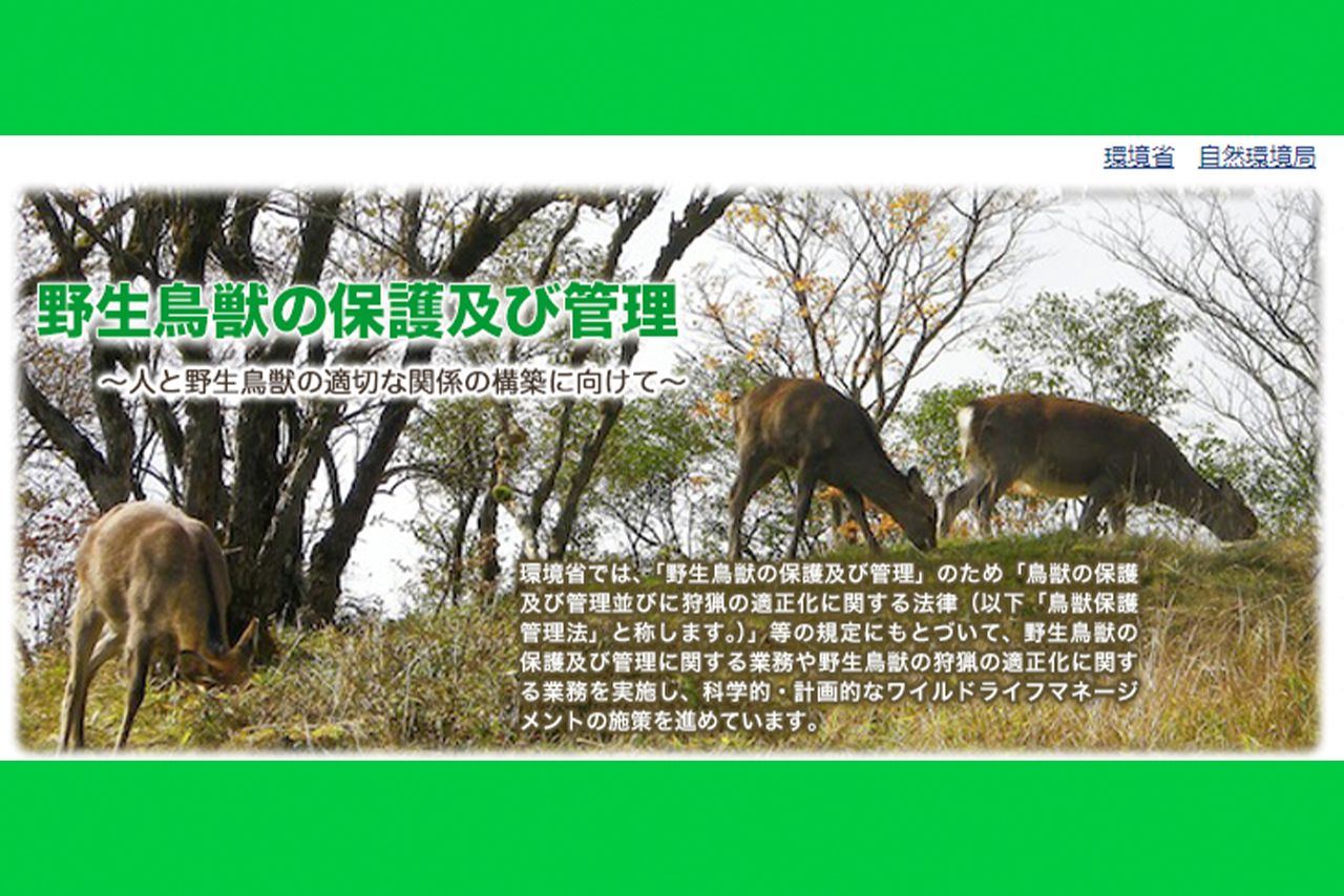 『鳥獣保護管理法』について（環境省HPより）