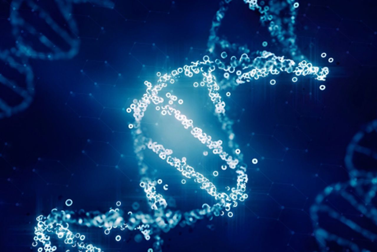 今回の“主人公”テロメアを含んだ遺伝子には、まだまだ未知の領域が。人間の可能性を伸ばす力が眠っている