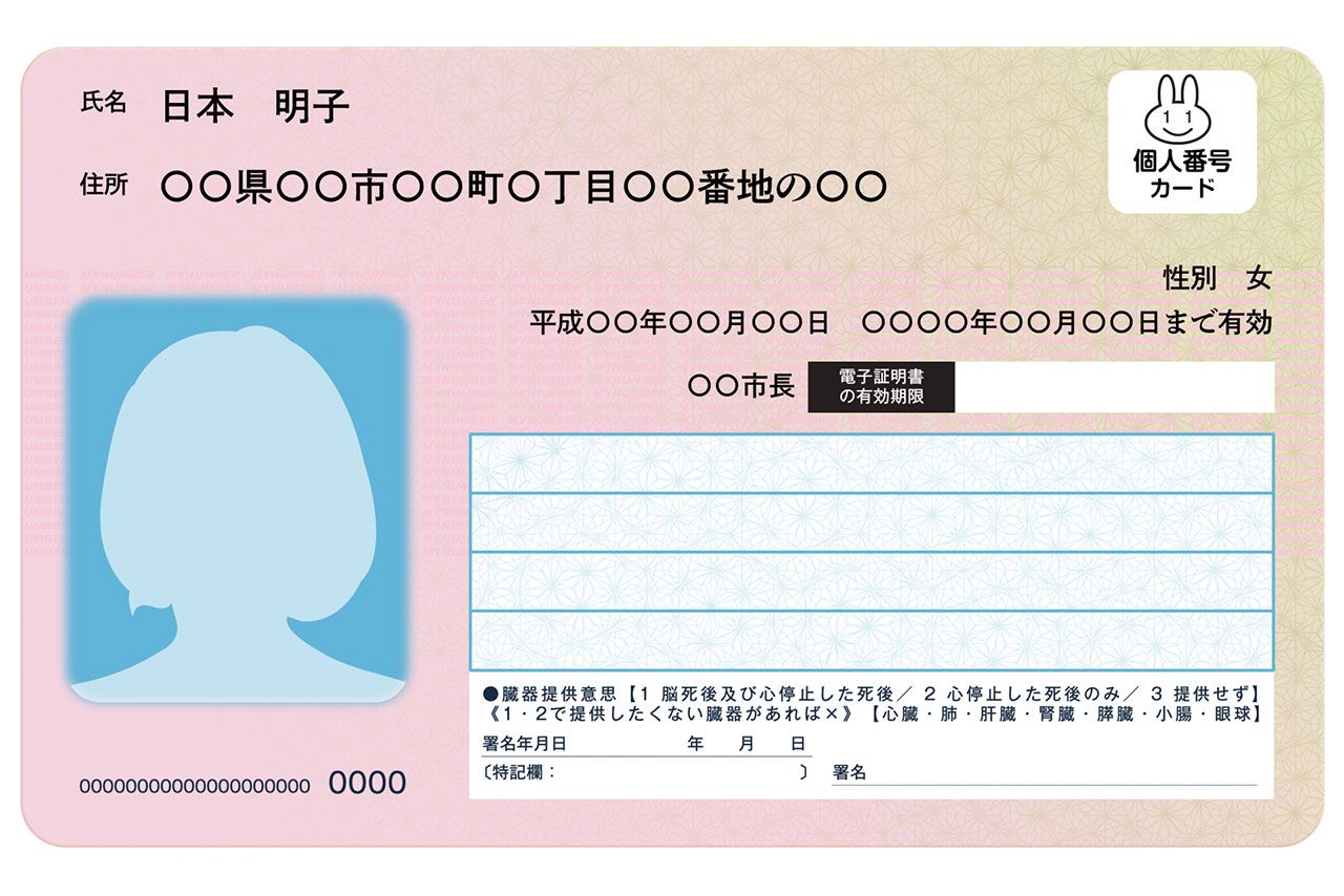 ※写真はイメージです