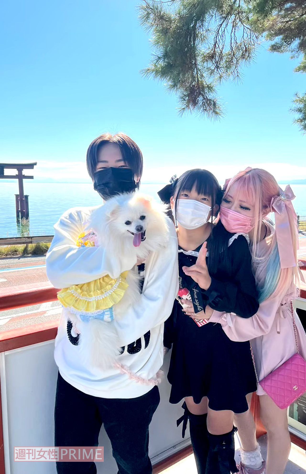 写真提供／ちいめろさん