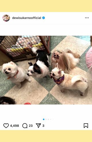 2024年10月愛犬たちと（公式インスタグラムより）