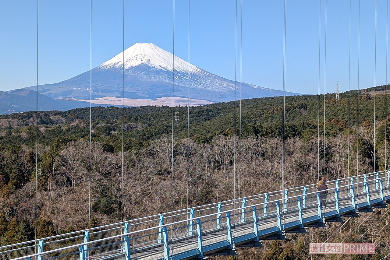 三島スカイウォーク　撮影／編集部