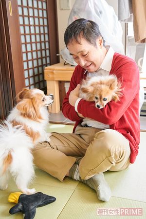 自宅にて。愛犬のパピヨン、マリンとこころにデレデレ。「僕が家族の中でいちばん下に思われてるみたいで、こころによく鼻をかじられます（笑）。でも、かけがえのない家族ですね」 撮影／山田智絵