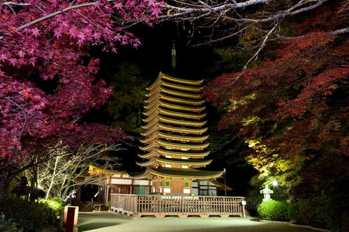 静けさに包まれた境内では、十三重塔以外の本殿なども光に照らされてみやびな光景が広がる