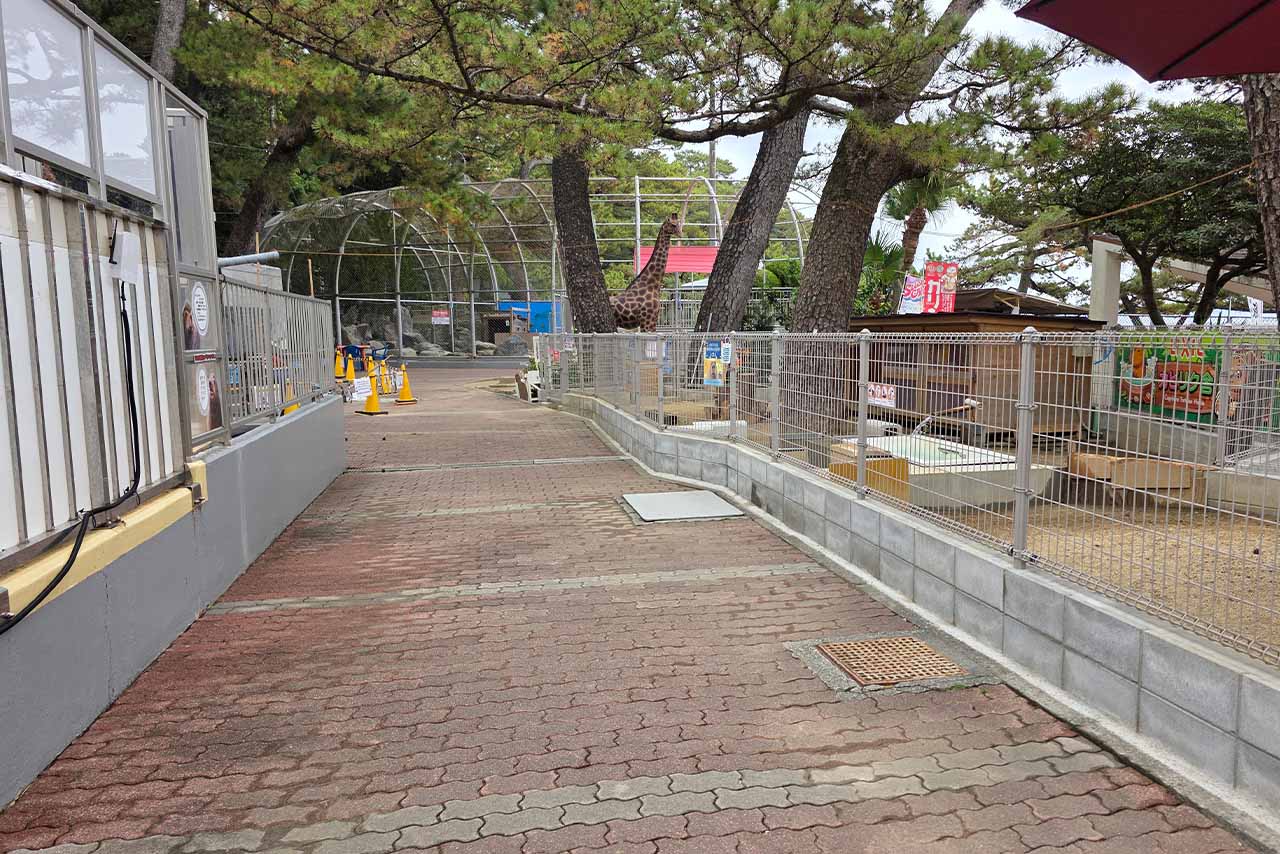 クリスマスイヴなのに貸切状態の館内　写真提供／桂浜水族館