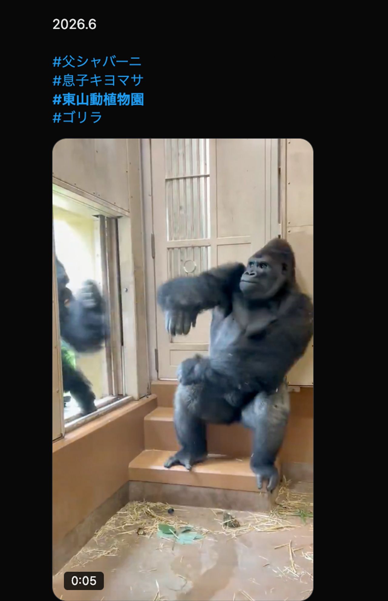 父・シャバー二の登場で緊張するキヨマサ（Xより）