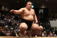 《大相撲春場所初日》大関・安青錦、若元春の変化み動じず好発進も、立ち合い前の「マナー違反」に渦巻く賛…