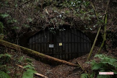 鉄板で封鎖された旧旧吹上トンネルの入り口。深夜でも多くの若者が訪れる