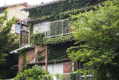 【実家の手放し方】相続した家は「売る」か「貸す」即、決断しないと損をする！