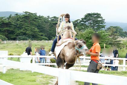 '17年8月、当時高校生の愛子さまがどうぶつ王国でラクダのアクティビティをご体験