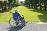 《“おひとりさま”終活》後見人や住まい、葬式などシビアすぎる問題への対処法