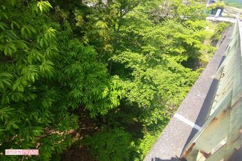 湯沢橋の下、川のほとりにAさんの死体は遺棄されていた