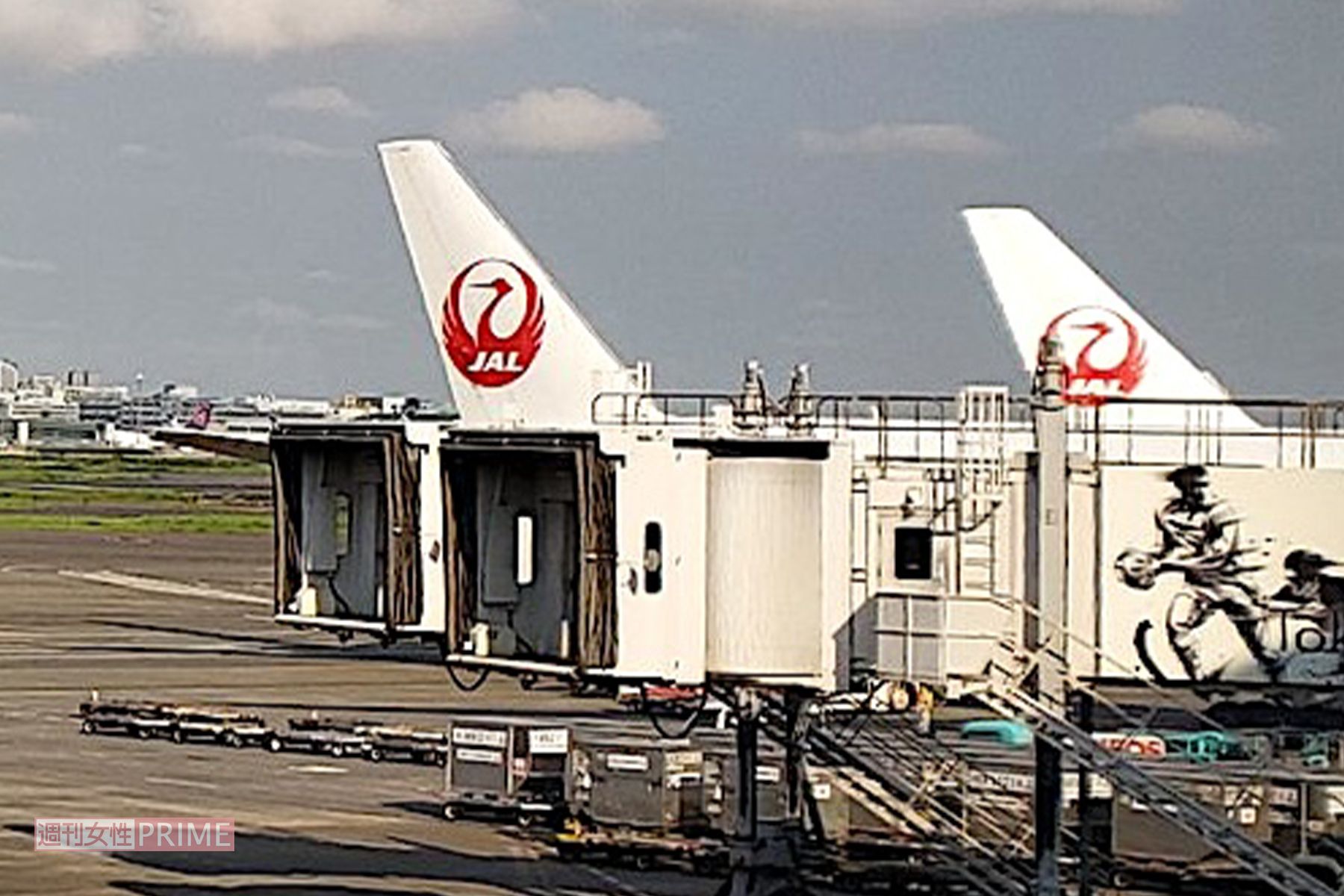 JAL ＊写真はイメージです