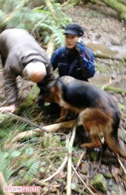 14年3月上旬、グレースが高齢の男性を見事発見。松尾さんは機動隊に連絡を入れた