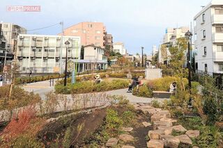 紬と湊斗がワンちゃんに出会った下北沢の緑道（ドラマ『silent』ロケ地）