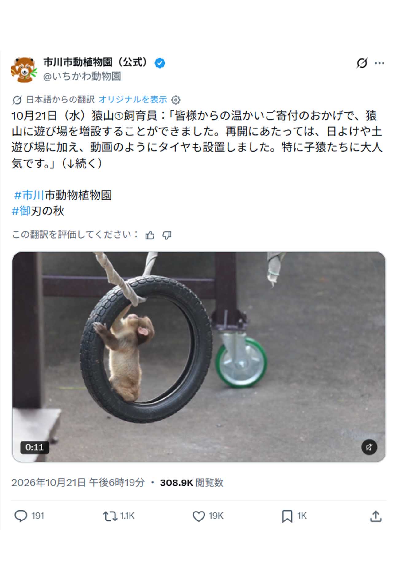 10月21日から再開したサル山。日よけや土遊び場に加えタイヤなどの遊び場も増設した（市川市動植物園公式Xより）