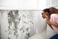 「カビ感染で亡くなる人は着実に増えている」と専門医、特にリスクが高い人は？