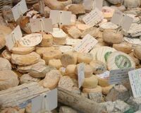 うつ予防に効果的なのは“幸せホルモン”を増やす乳酸品