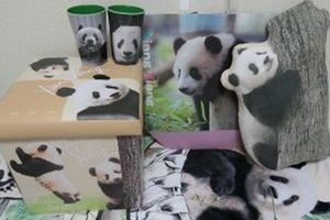 写真を使ったスツールボックス、クッション、ブランケット、バッグ、カップ（写真：筆者撮影／東洋経済オンライン）