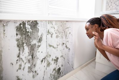 「カビ感染で亡くなる人は着実に増えている」と専門医、特にリスクが高い人は？