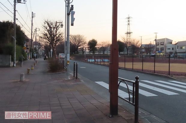 夫婦がよく散歩していたコース。バス停２つぶんくらい平気で歩き往復していたという