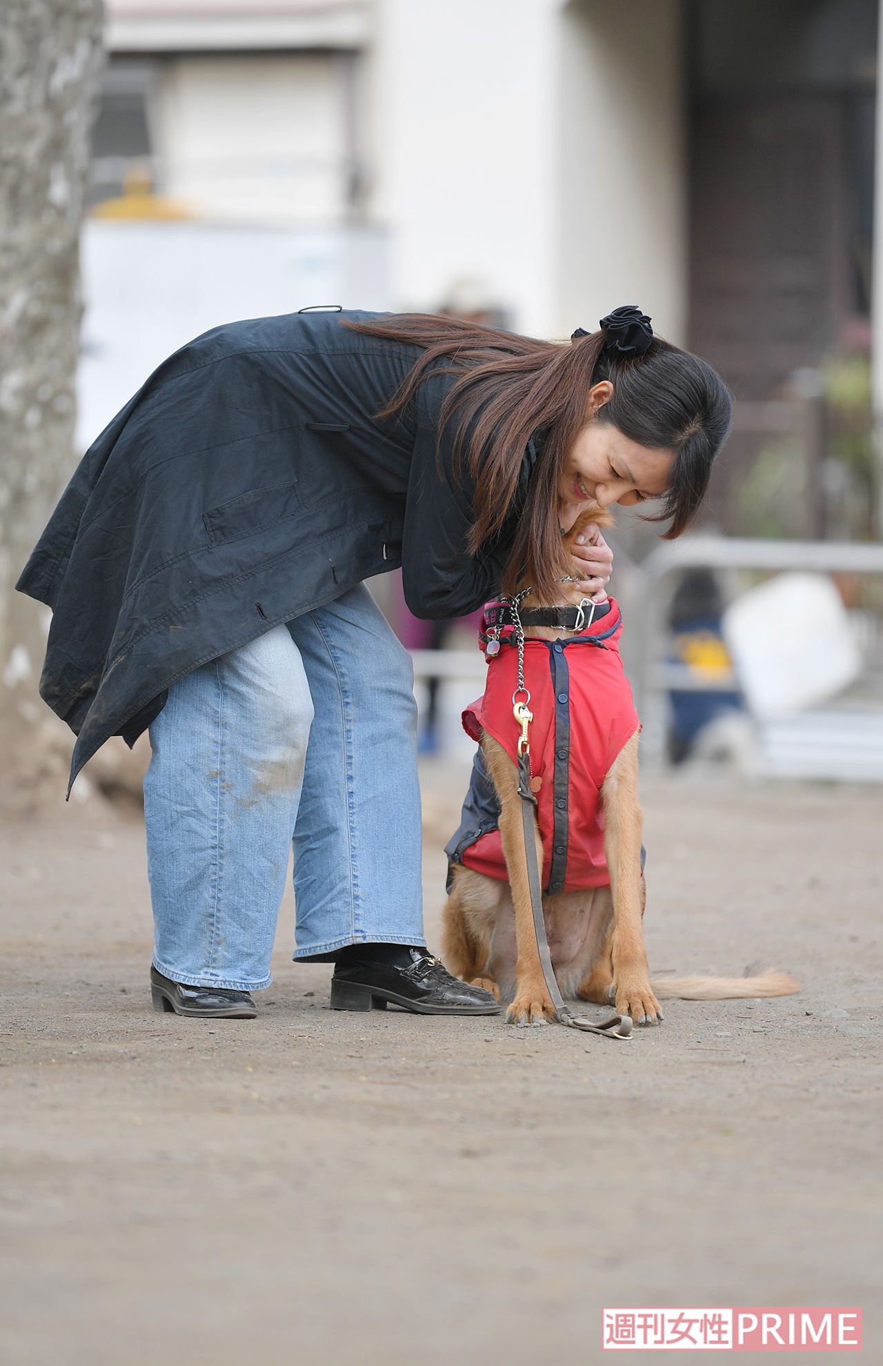 かつて長崎で警察犬をしていたシェパードのジェシカと久しぶりの再会　撮影／渡邉智裕