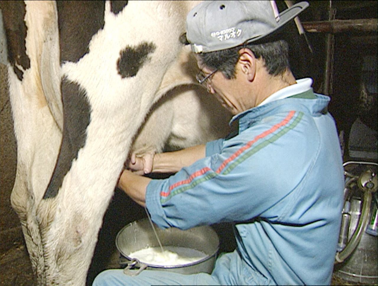 映画『山懐に抱かれて』