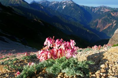 【心理診断】プレゼントを選ぶだけであなたのタフ度が判明！