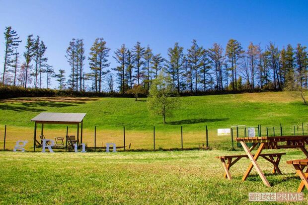 『ペットの里』