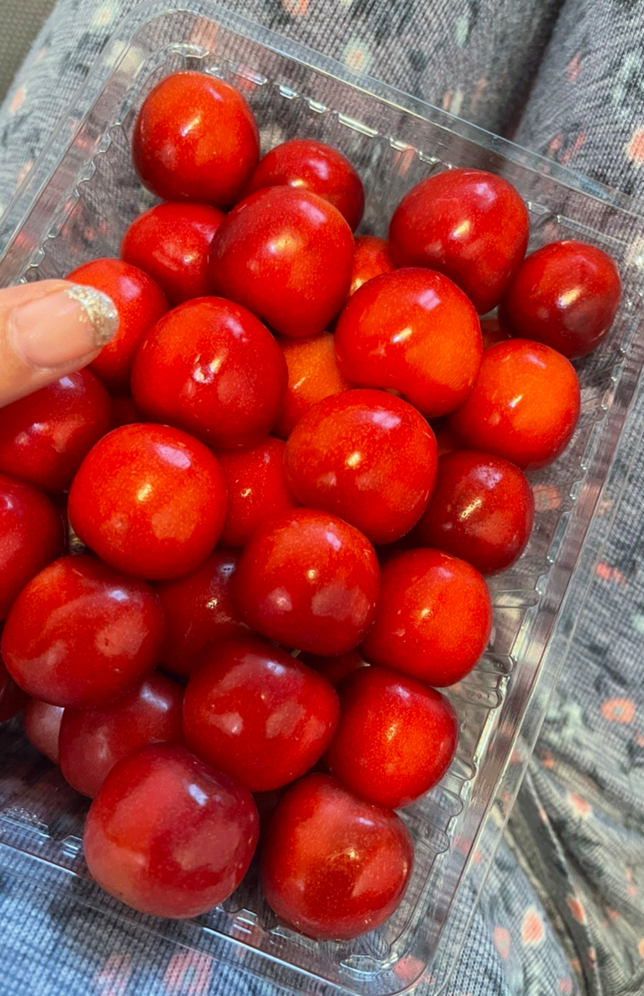 親指より大きなさくらんぼ!とってもおいしかったです