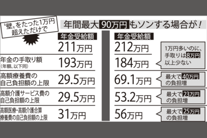 ※上記は横浜市で、夫婦ともに70歳～74歳、前年所得は公的年金のみで妻の年金が80万円超120万円以下の場合。※「年金の手取り額」は、配偶者の介護保険料も控除した額。
