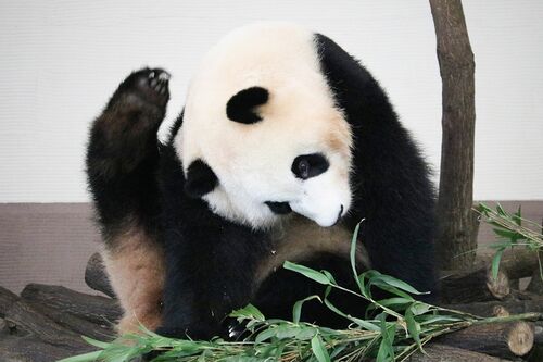 Q.ストレッチだ～れだ　C　（撮影／二木繁美）