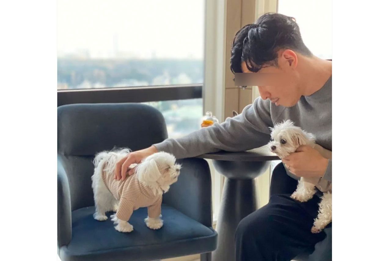 篠田麻里子の夫・A氏が経営するペットフード会社のHPより抜粋