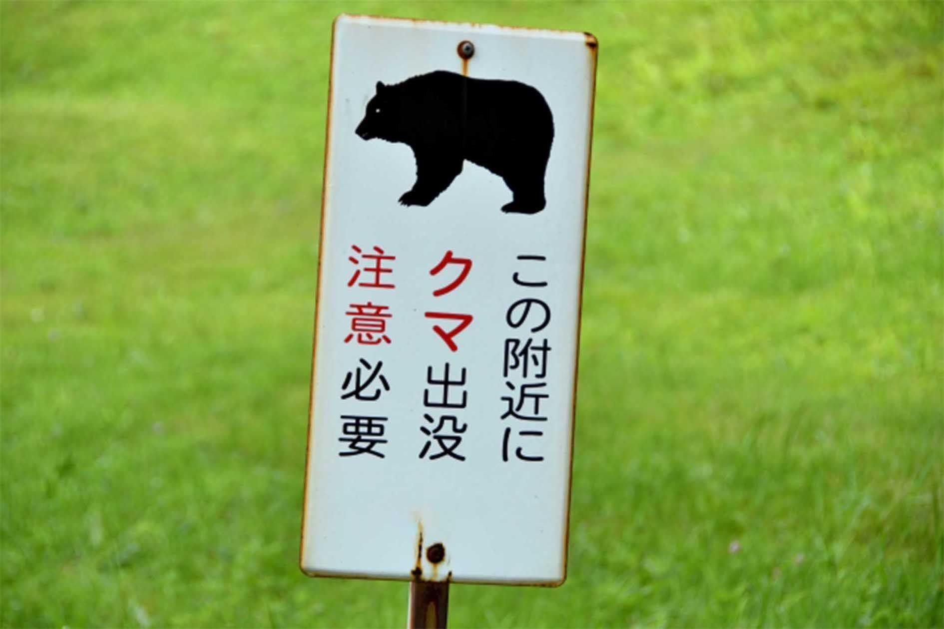 住宅地だからといってクマが現れない保証はない